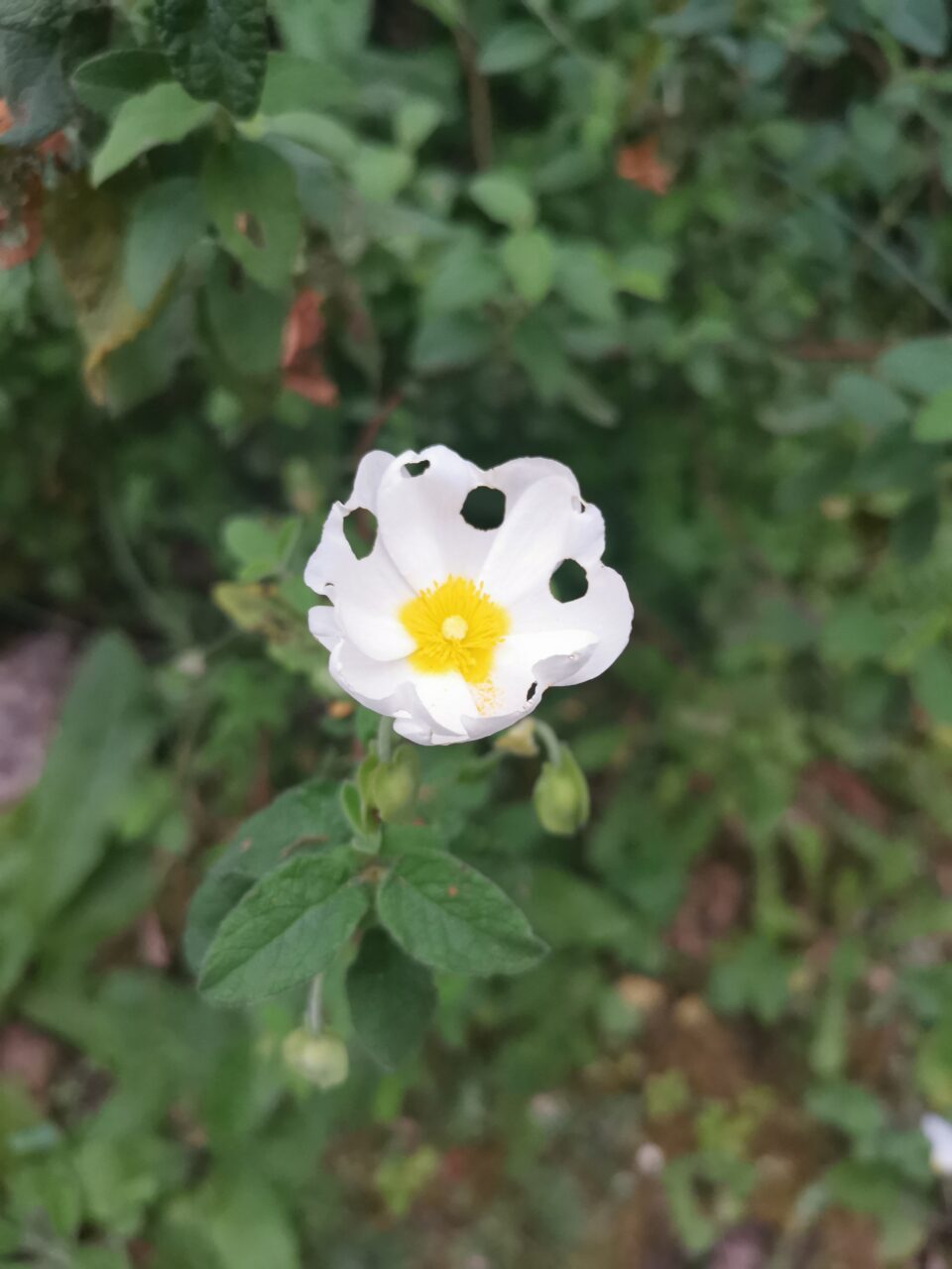 Img 20240411 191102.jpg