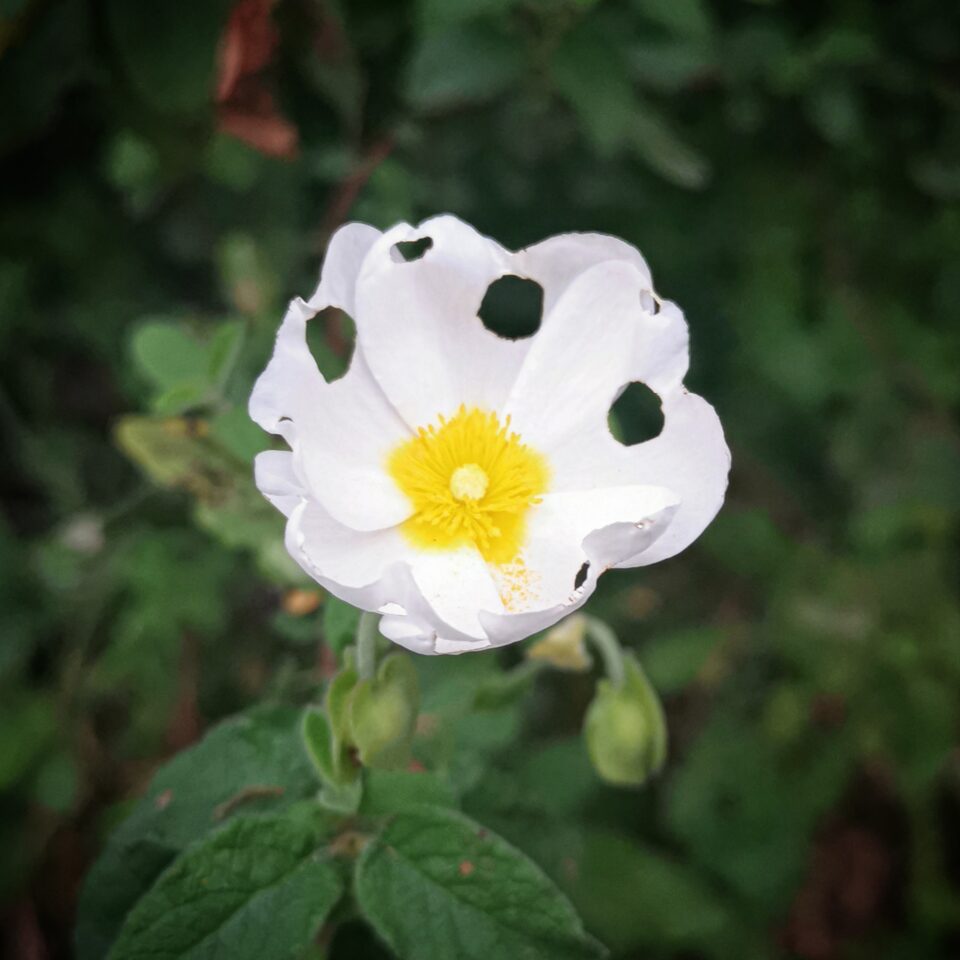 Img 20240412 095030 813.jpg