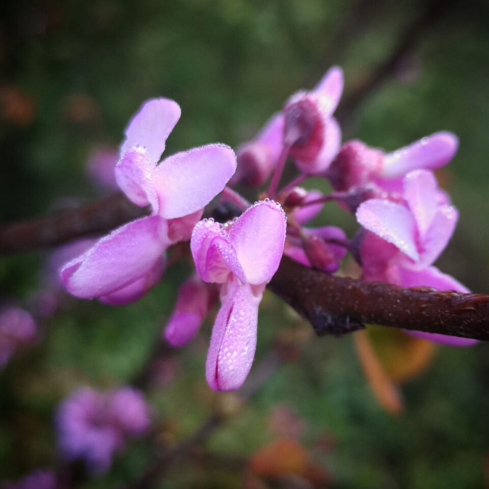 Img 20240406 192024 9503609558370805171233.jpg