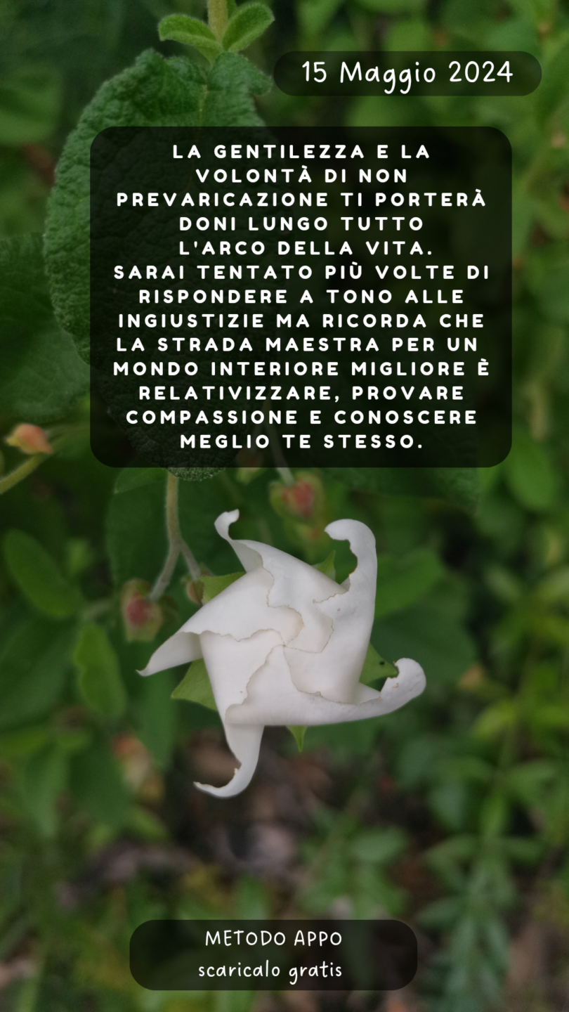 15 Maggio 2024 20240515 072229 0000.png