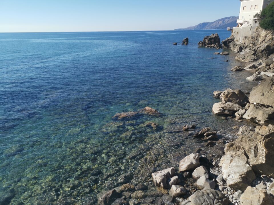 Img 20201107 100825.jpg