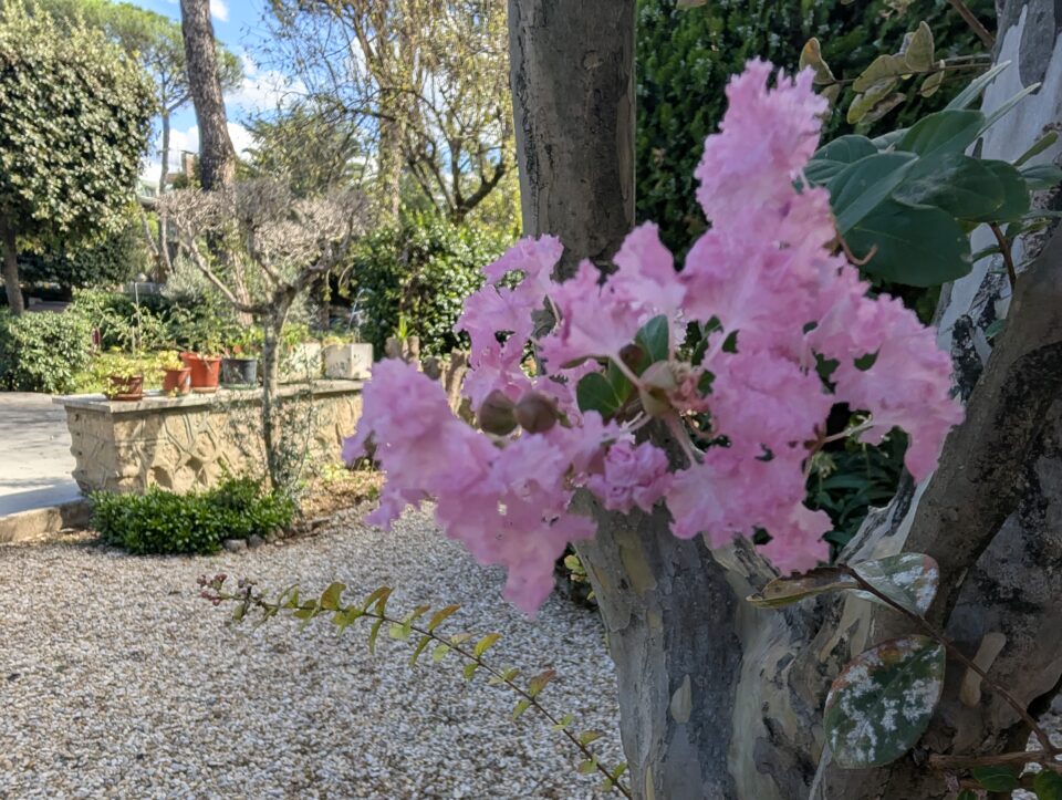 Pxl 20240915 123031782.raw 01.cover