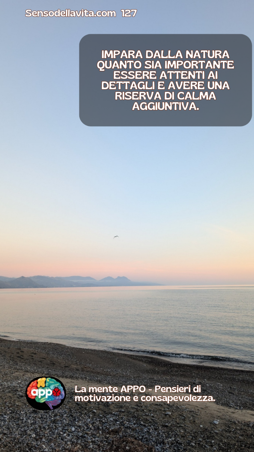 127 20241025 075952 0000