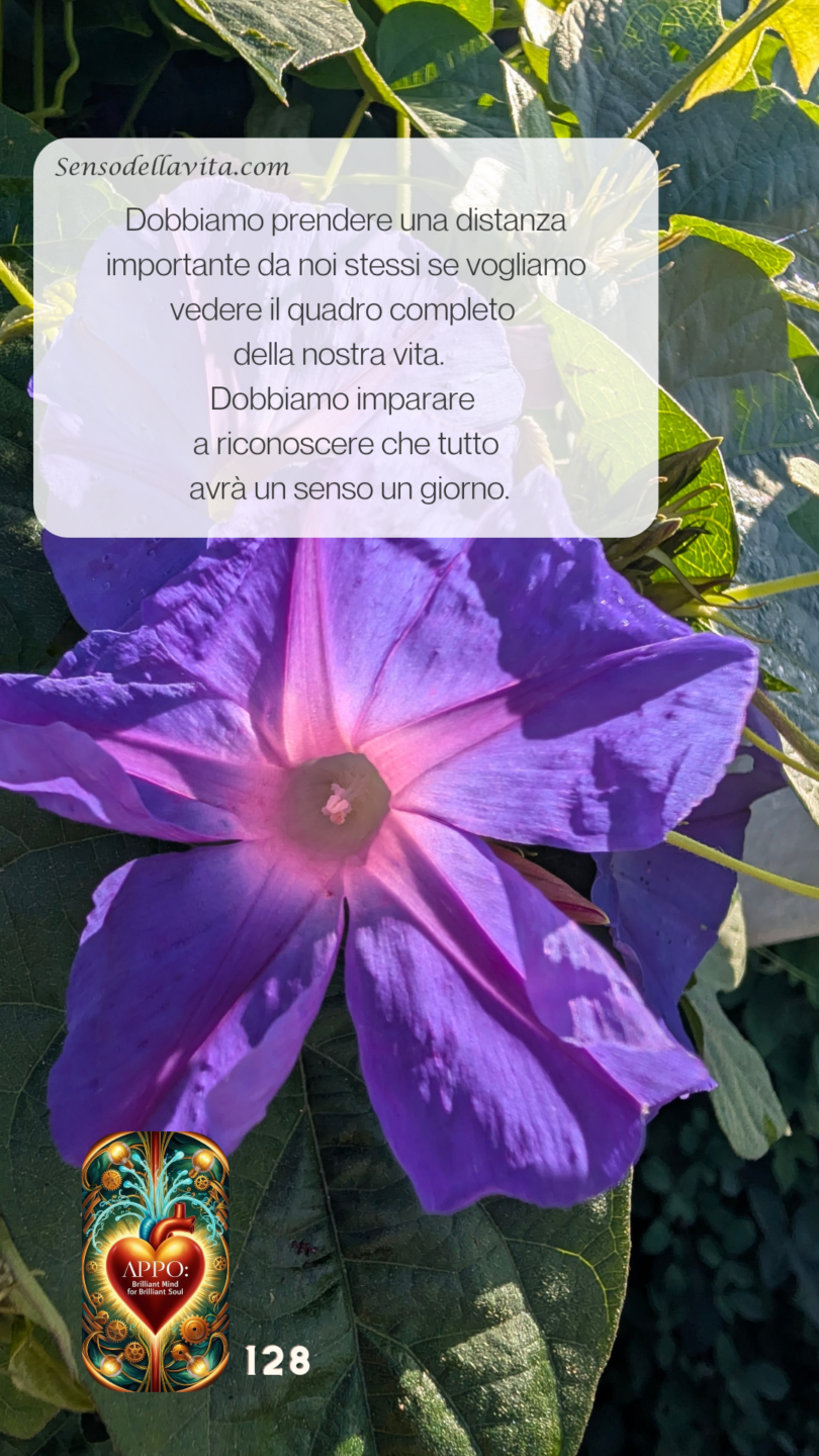 Copia+di+sfv+127+la+tua+storia 20241030 064241 0000